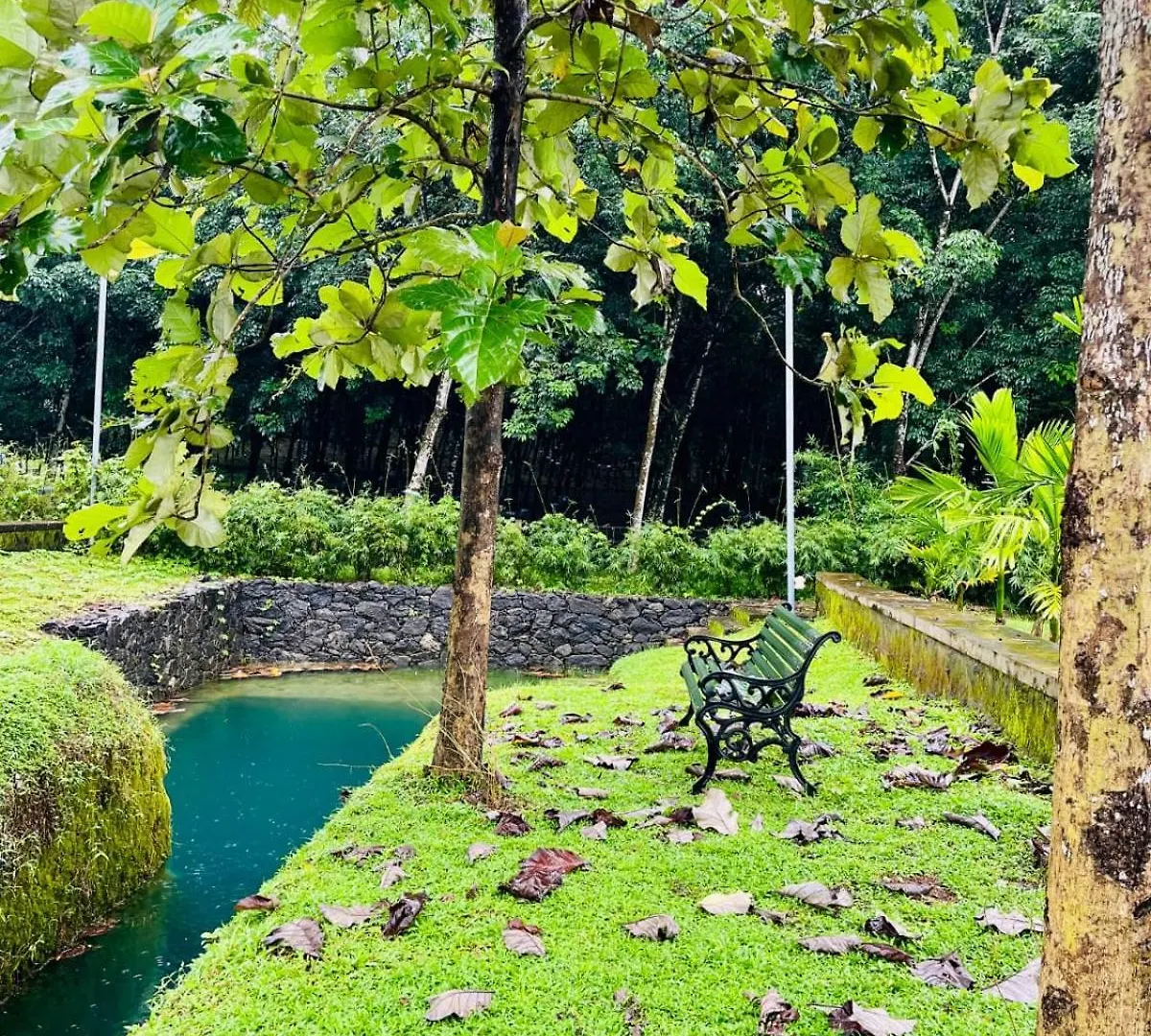 Haven Stay Manor Kotamangalam Villa